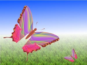 butterfly-15865_640