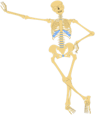 lean skeleton