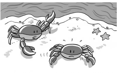 CHOW #208 – The mother crab and the baby crab